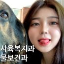 영대연합동물병원 이미지