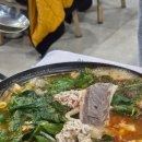 박영철 사시미 이미지