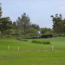 삼락강변공원 | “강변 바람 타고 무료 라운딩! 삼락생태공원 파크골프장 후기 &amp; 실전 팁”