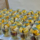 강남새싹유치원 이미지