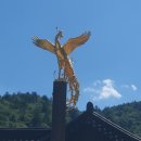 황보당 - 구미시 산호대로 191-4 | 황보당