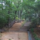 염창 다목적체육관 | 서울 강서구 염창동의 보물, 염창산(증미산) 둘레길 트레킹 후기!