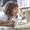 삼각산로 이미지