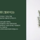 천연헤어염색 네이버블로그