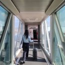 세븐일레븐 평택반지마을점 | 홀로떠날뻔 했던 오키키나와(숙소, 렌트카, 맛집)