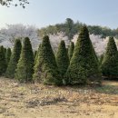 혜원농장 이미지