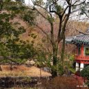 방림원 식물원 이미지