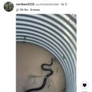 (주)캐처스 이미지