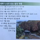 화인 산림욕장 충북 옥천군 국내 최대 메타세쿼이아숲