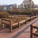 부평생태습지[부평-5] 이미지