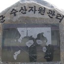 전남 신안 퍼플섬 이미지