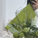 윤이정원
