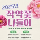 꽃처럼 이미지