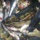 주천강 강변민박 이미지