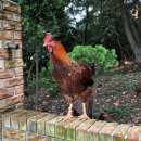 씨앤필드 이미지