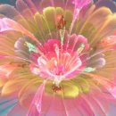 부산엄광산우물과연못을보고와서 이미지