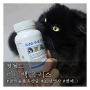 백동물병원 | 80년 역사가 있는 반려동물 유산균 비니백 플러스