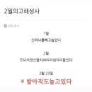 토마토 생각