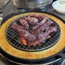 신마포갈매기 이미지