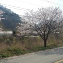 백양2리 네이버블로그