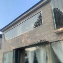 영스(YOUNG'S) 이미지