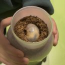 늘푸른유치원-1구간 | 김포 아이랑 가볼만한곳 꿈꾸는파브르 방문후기