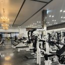 다이아 짐 이미지