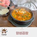 참살이콩이야기 | 안중 양성곱창 포승에서 이사 후 먹은 후기 내돈내산