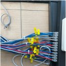 대성네트워크 이미지