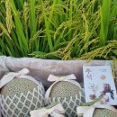 화니농장 이미지