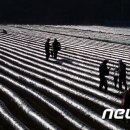 거창-가북-1 이미지