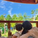 우리원예클리닉 | 전주 아이와갈만한곳 전주정원문화센터 여름 바닥분수 물놀이 실내아열대수목원