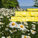 GR(부안군)-[변산로]-하-9 | 전북 부안 5월 꽃구경 가볼만한 곳 샤스타데이지 마실길4코스 변산경찰수련원 실시간 개화상황
