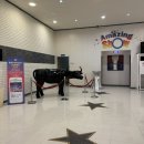 제2부도로 | 세부 여행 필수코스? 어메이징쇼 + 킹스파 마사지 패키지 솔직 후기