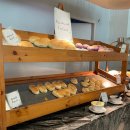 팜 (palm) | 세부 가족여행 리조트 추천 -솔레아 팜 리조트(Solea Palm Resort) 솔직 후기