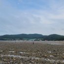 죽림어촌체험마을 이미지