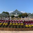 강원도립화목원 이미지