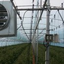 빛고을농장 이미지