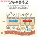 P-5C26 | 주사피부염 치료 후기 — 피부과 3곳, 대학병원, 한방병원, 브이빔 5회에도 낫지 않았던 이유