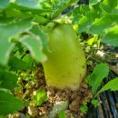 동대만휴게소 이미지