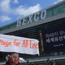[기자회견 공유] 제48차 유네스코 세계유산위원회는 ‘한국의 갯벌 2단계’ 등재에 새만금신공항 철회조건 반영하라! 이미지