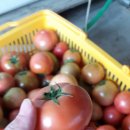 규영농장 이미지