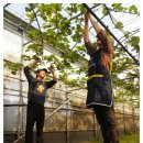 민상농장 이미지