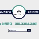 플라이트틴팅 | 모델X 한국 판매 종료 소식과 하버캠프 세라믹본드 신차패키지 후기