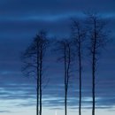 가덕중학교 이미지