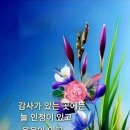 수다방 - 횡성군 경강로둔방10길 16-1 | 수다방