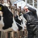 병을농장 이미지