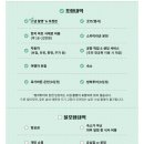 행복한동행 LTA 두번째이야기 | [아이슬란드 여행] 트레블티움 오호라 아이슬란드 패키지 후기