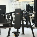 디렉스 숄더 프레스 머신 sss 급 급처 이미지