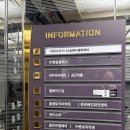 아레나 휘트니스 이미지